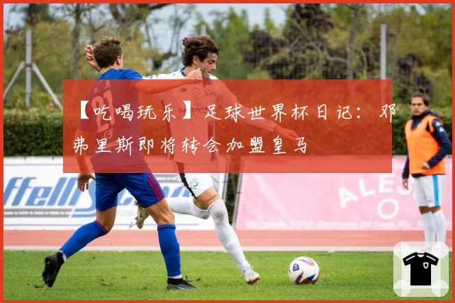 【吃喝玩乐】足球世界杯日记:邓弗里斯即将转会加盟皇马