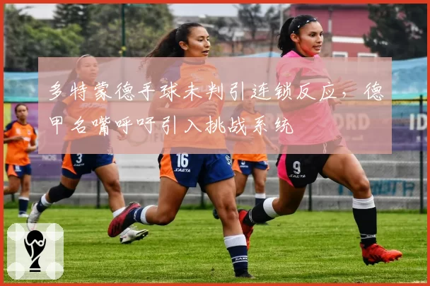 多特蒙德手球未判引连锁反应，德甲名嘴呼吁引入挑战系统