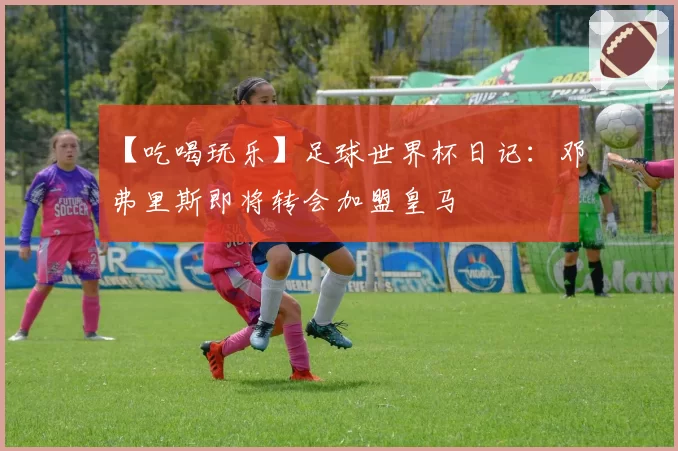 【吃喝玩乐】足球世界杯日记:邓弗里斯即将转会加盟皇马